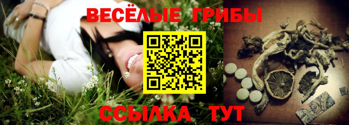 Псилоцибиновые грибы прущие грибы Кудымкар